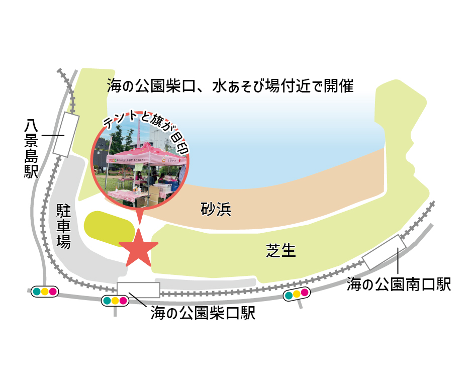 イベント「生活クラブ生協の夏まつり　海の公園」の様子