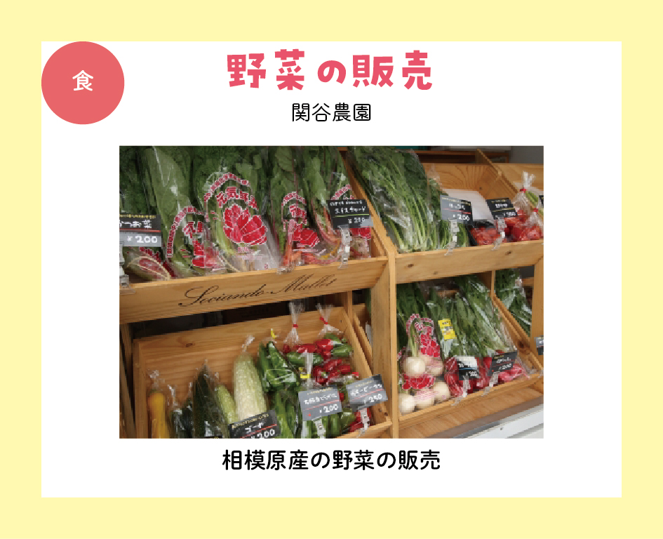 イベント「LALA FAMILY FESTA -ララ ファミリー フェスタ-」の様子